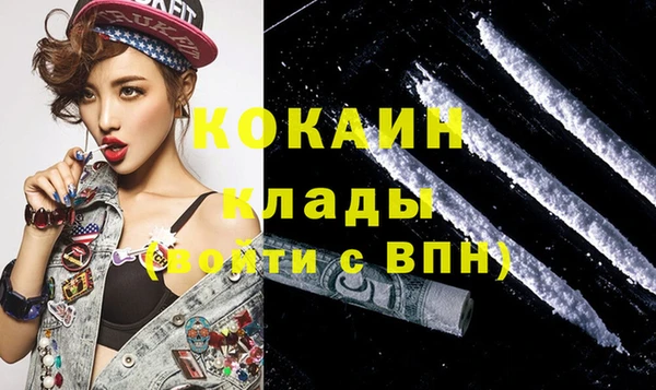 прущие грибы Гусиноозёрск