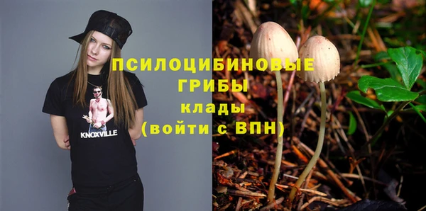 винт Белокуриха