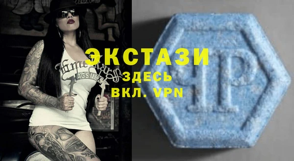 мдпв Инсар