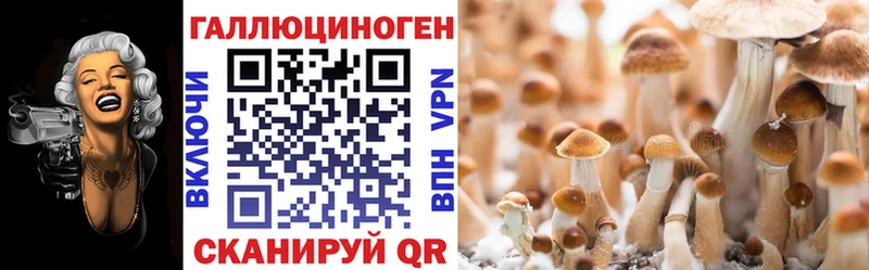 Галлюциногенные грибы мухоморы  Кувандык 